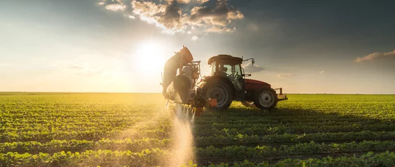 Wall murals Tractor Tractor spraying soybean field at spring