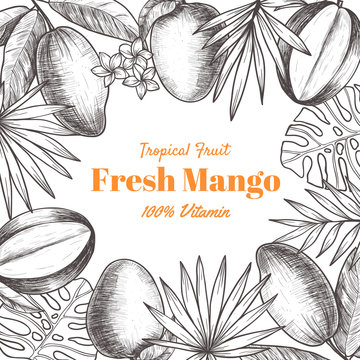 Vector frame with mango and tropical leaves .Hand drawn. Vintage style