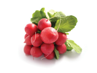 A bunch colorful delicious radishes on white background. Photo depicting fresh radish with green leaves isolated on a white, with natural shade.