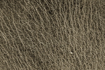 Leather texture background for industry export. fashion business. furniture design and interior decoration idea concept.