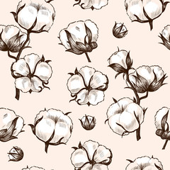 Cotton plant . Vector seamless pattern. Vintage style