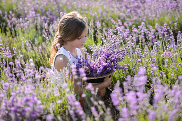 Beautiful girl in a field of lavender on sunset. Girl in amazing dress walk on the lavender field.