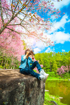 Happy woman traveler take photos by camera with cherry blossoms tree on vacation in spring season..Women traveler use camera take a photo cherry blossoms or sakura in full bloom at Thailand.