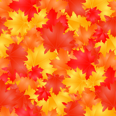 Naklejka na ściany i meble Seamless background with colorful autumn maple leaves. Vector modern background for posters, sites, business cards, postcards, interior design