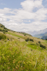 Fototapeta premium Guarda, Dorf, Bergdorf, Engadin, Unterengadin, Wanderweg, Felder, Bergbauer, Bergblumen, Alpen, Schweizer Berge, Graubünden, Sommer, Schweiz