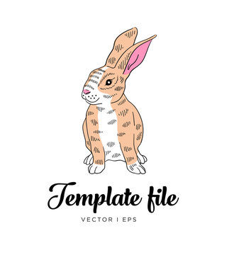 Vector editable colorful image depicting a cute rabbit on a white background. Hand drawn sketch.