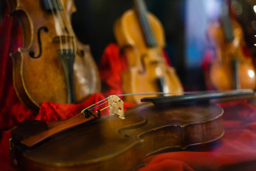 violin in vintage style on wood background