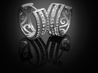 Ladies' Jewelry Earrings - Stainless Steel © jandix2