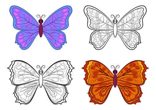 Set Butterflies, Colorful and Black Contours Isolated on White Background. Vector