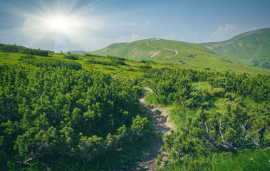 Field in mountains during sunrise.