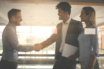 Business people shaking hands in office. Successful business people.