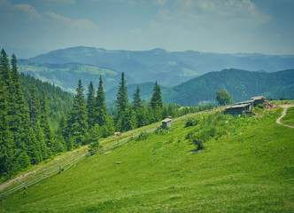 Summer landscape in mountains