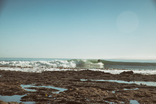 Surfer
