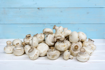 Fresh  mushrooms on a wooden background