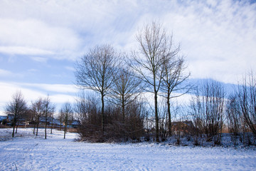 snow landscape in winter