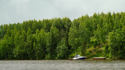  yacht  boat is in the water next to the green thick forest