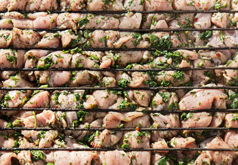 Raw Chicken Meat With Green Outdoors.