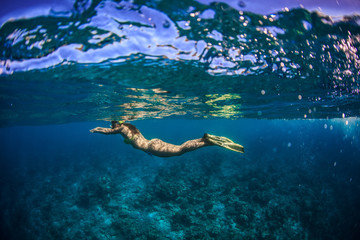 A grirl in yellow bikini and fins snorkeling under water surface in blue sea over coral reef. - obrazy, fototapety, plakaty
