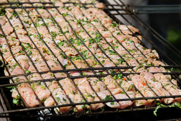 Raw Chicken Meat With Green.