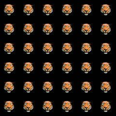 Seamless Tiger pattern on a black background
