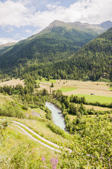 Guarda, Lavin, Engadin, Unterengadin, Inn, Fluss, Feldweg, Wanderweg, Nationalpark, Lärchenwald, via Engiadina, Alpen, Sommer, Schweiz