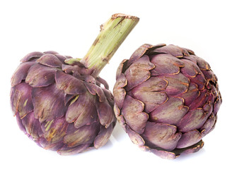 Obraz premium purple artichoke in studio