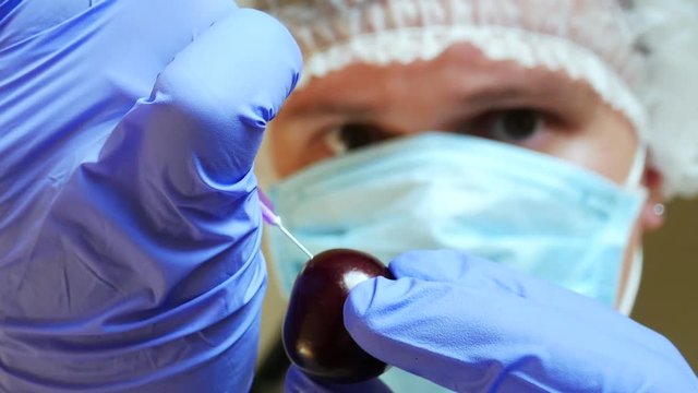 Syringe Thrown At Apple. Genetic Research GMO. Genetically Modified Fruit Scientist Experimenting Injecting. GMO Apple Injection Syringe. GMO Injection With Syringe In Apple By Hands In Blue Gloves