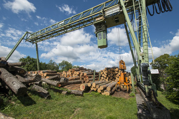 Fototapeta premium Lumber mill