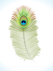 abstract artistic peacock feather