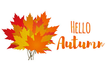 Hello, autumn. Bouquet of autumn maple leaves isolated on white background. Vector illustration