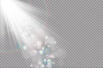 Fotobehang Vector scene illuminated by spotlight ray. Light effect on transparent background © blagorodez