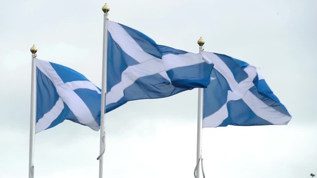 Three Scottish Flags ( the saltire) blowing vigorously in the wind