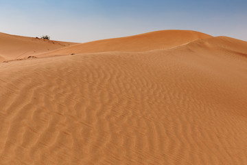 Fototapeta na wymiar Red desert sand