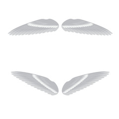 vector illustration of white and grey couple of wings in two positions