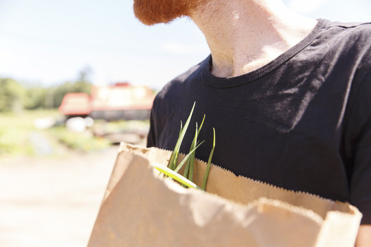 USA, Dresden, Maine. Detail Shot Of A Man Carrying A Brown Paper Grocery Bag With Spring Onions Sticking Out.