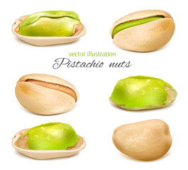Pistachio. Whole nuts and kernels. Collection. Vector