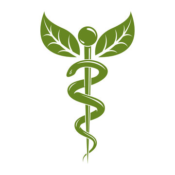 Caduceus medical symbol, graphic vector emblem for use in healthcare. Phytotherapy metaphor.