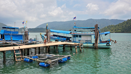 Fototapeta na wymiar Fisherman on the pier with spinning