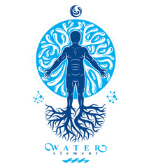 Vector illustration of athletic man made with tree roots and surrounded with water bubbles, element of water. Environment conservation metaphor.