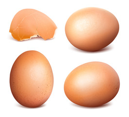 Eggs. Whole and broken Collection of illustrations. Vector