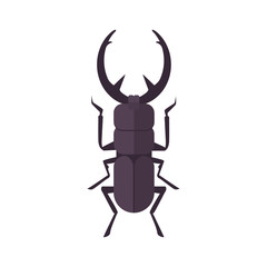 insect flat style vector design icons. nature beetle cartoon illustration