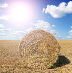 Hay bale in the countryside