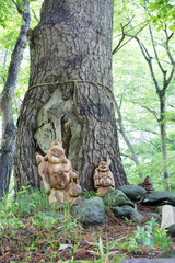 岩手県気仙郡住田町　鏡岩　せせらぎ公園