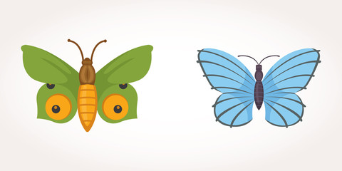 set of colorful Butterfly Vector Design Illustration. summer insect