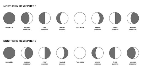 Naklejka premium Phases of the moon chart - comparison of the opposite lunar phases watched from northern and southern hemisphere - different shapes with names. Vector illustration on white background.
