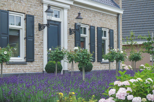 Einfamilienhaus mit Lavendel im Vorgarten
