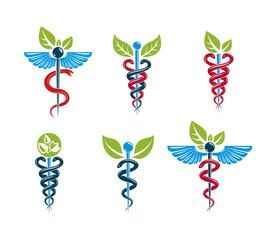 Aesculapius vector abstract illustrations collection, Caduceus symbols composed with green leaves and bird wings for use in medical treatment.