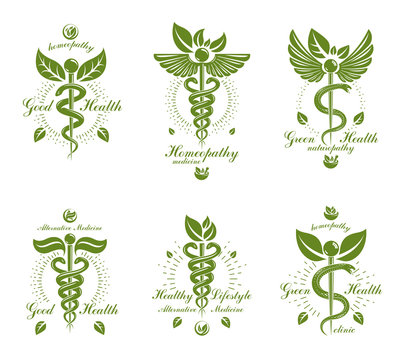 Collection of Caduceus logotypes composed with poisonous snakes and bird wings, healthcare conceptual vector illustrations. Alternative medicine theme.