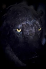 Foto op Plexiglas Black Panther in het Nationaal Natuurmuseum © Karsten