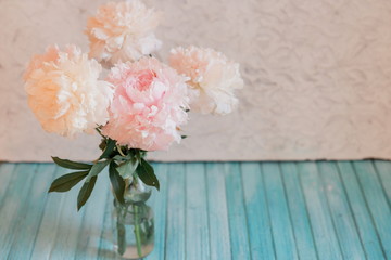 beautiful light beige and pink peonies